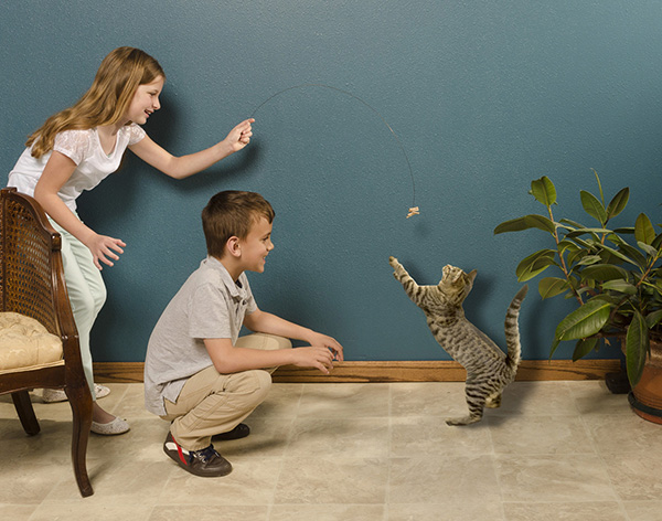 Kids holding a Cat Dancer cat toy.