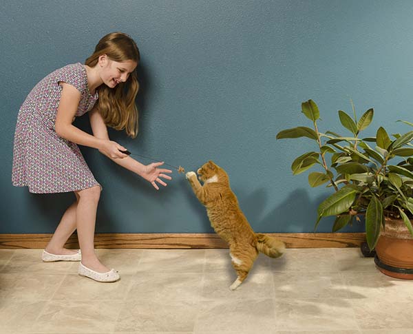Girl and cat playing with a cat toy.