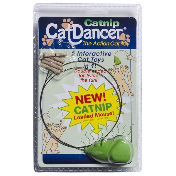 cat dancer deluxe