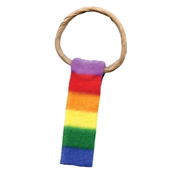 Chasers Rainbow Ring Tail Cat Toy 2