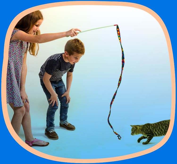 Cat and children playing with a cat charmer cat toy.