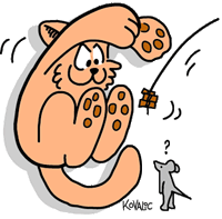 Illustration of a cat jumping