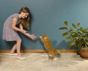 Girl and cat playing with a Cat Dancer interactive cat toy.