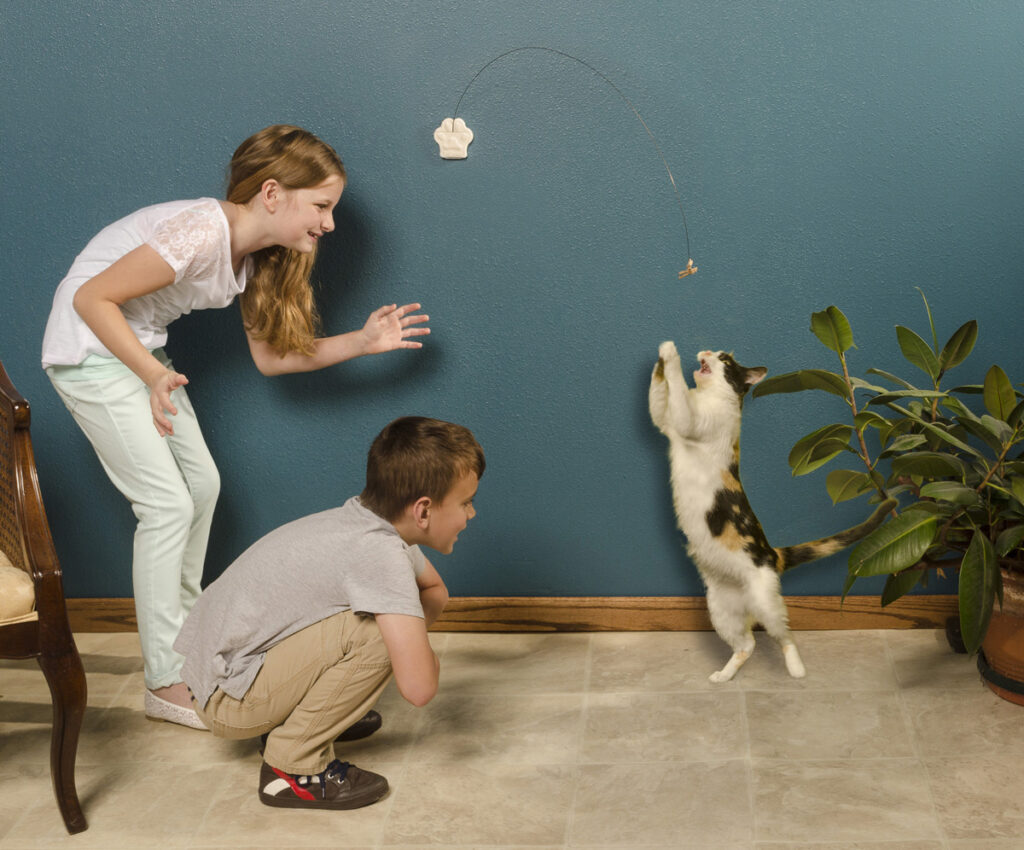 Kids and cat playing with a Cat Dancer Deluxe cat toy.