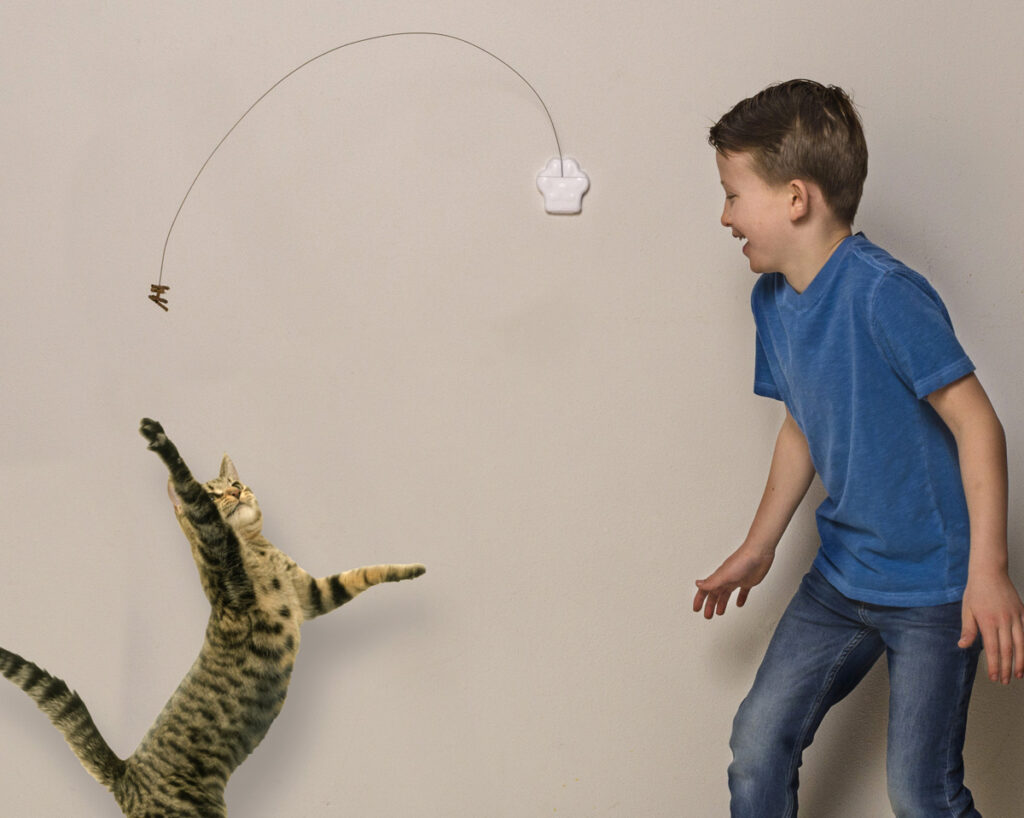 Boy and cat playing with a Cat Dancer Deluxe cat toy.