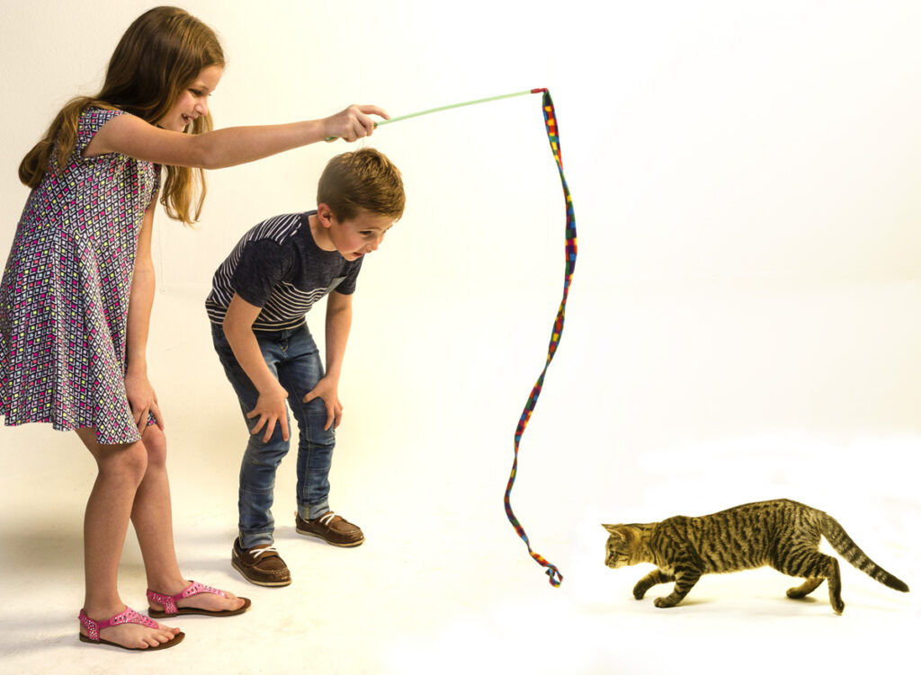 Children and cat playing with a Cat Charmer interactive cat toy.