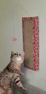 Cat playing with Wall Scratcher and interactive cat toy.